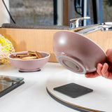 Silwy Magnetic Dish Set (MPN: SYBR-KGS-11-R)