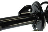 KYB Strut-Plus Strut Assembly (MPN: SR4123)