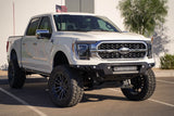 Black Label Ford F-150 Front Bumper (MPN: F190300010103)