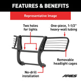 Aries Grille Guard (MPN: 3046F)