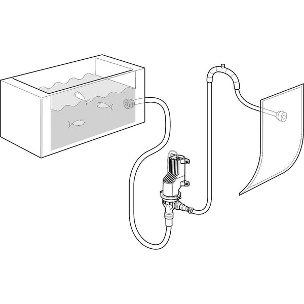 WHALE Livewell Baitwell Pump (MPN: BP4772)