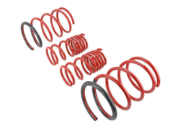 Skunk2 Lowering Kit (MPN: 519-05-1575)