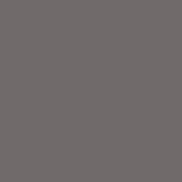 POR-15 High Temp Paint (MPN: 44201)