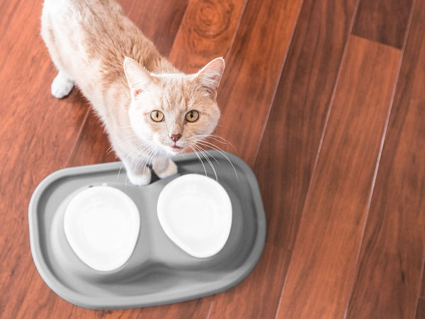 Weathertech Double Pet Dish (MPN: DL1602DG)