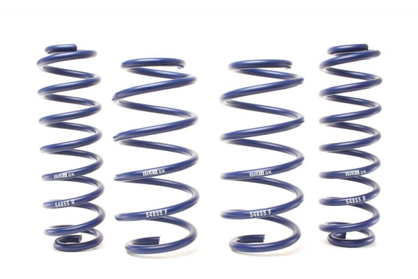 H&R Springs Adventure Raising Spring (MPN: 29203-1)