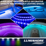 Lumishore Light Control Module (MPN: 010-04438-00)