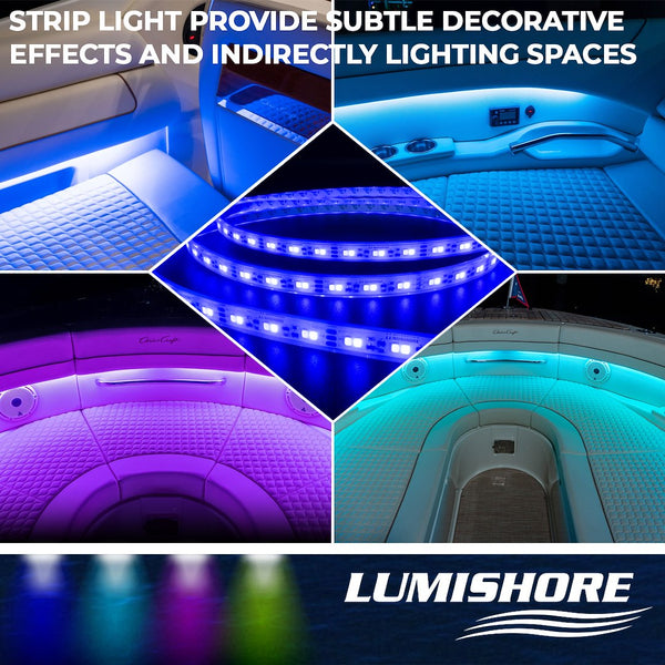 Lumishore Light Control Module (MPN: 010-04438-00)