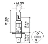 HELLA Halogen Headlight Bulb (MPN: 002089541)