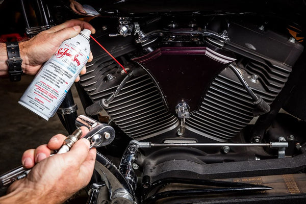 Sea Foam Fuel System Cleaner (MPN: SS14)