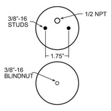 Firestone Air Helper Spring Double Bellows (MPN: 7882)