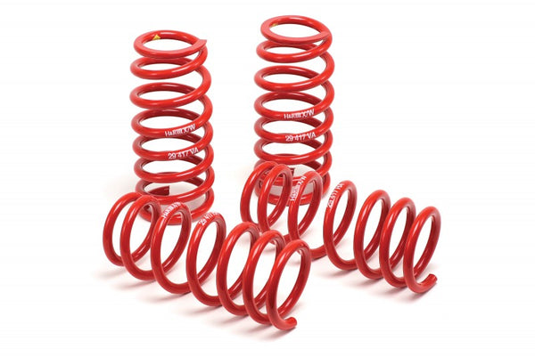 H&R Springs Race Spring Lowering Kit (MPN: 51858-88)