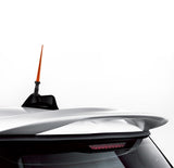 True Spike Antenna Mast (MPN: SA080OG)