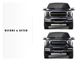 Armordillo Grille Guard AR2 Pre-Runner Modular System (MPN: 8702161)