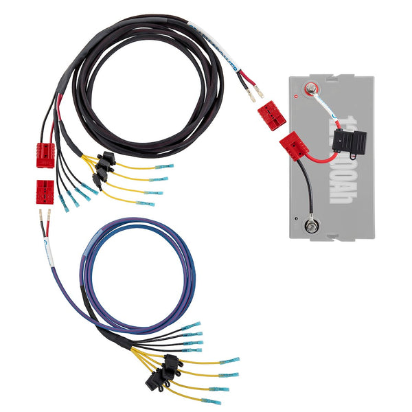 Connect-Ease Battery Connection Harness (MPN: RCE12VGRPRO1922)