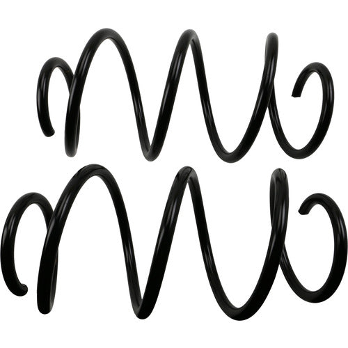 Moog Chassis Coil Spring Set (MPN: 81748)