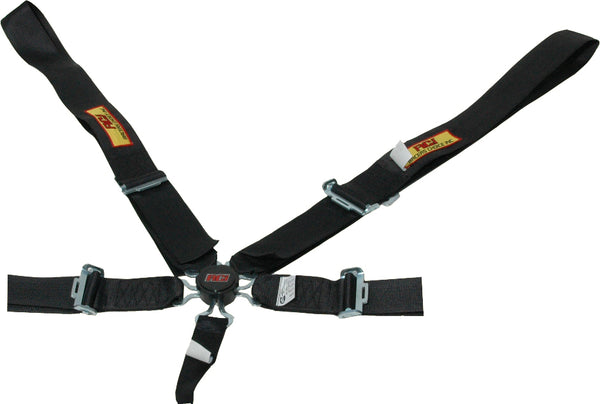 RCI 5 Point Camlock Seat Belt (MPN: 9510CD)