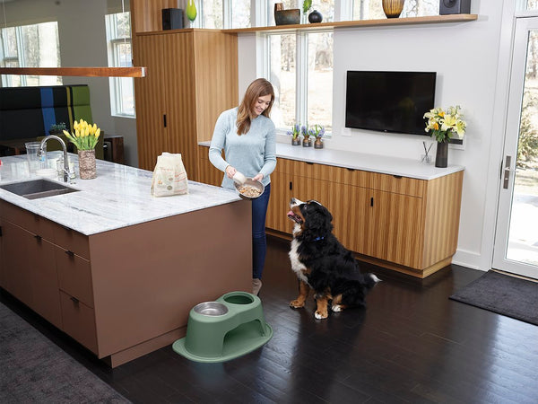 WeatherTech Double High Pet Dish (MPN: DHC3206HGHG)