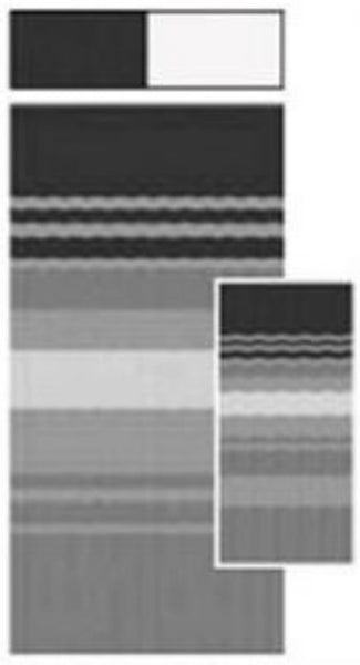Carefree RV Awning Fabric Replacement (MPN: JU158D00)