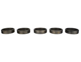 Ford Performance Roller Camshaft Bearing (MPN: M-6261-A460)