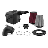 Mishimoto Cold Air Intake System (MPN: MMAI-RGR-19DW)