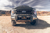 N-FAB Heavy Metal Bull Bar (MPN: F22BB01-TX)