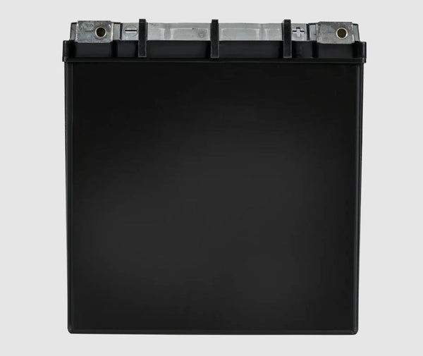 Odyssey Battery Extreme Series 12 Volt (MPN: ODS-AGM30L)