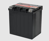 Odyssey Battery Extreme Series 12 Volt (MPN: ODS-AGM30L)