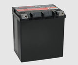 Odyssey Battery Extreme Series 12 Volt (MPN: ODS-AGM30L)