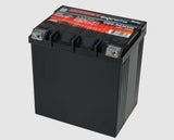 Odyssey Battery Extreme Series 12 Volt (MPN: ODS-AGM30L)