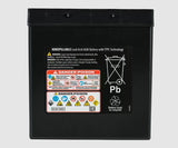 Odyssey Battery Extreme Series 12 Volt (MPN: ODS-AGM30L)