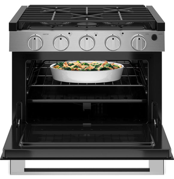 GE Profile RV Range (MPN: PLD617RTSS)