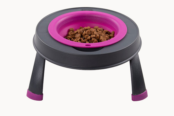 Dexas Pet Dish (MPN: PW1304322405)