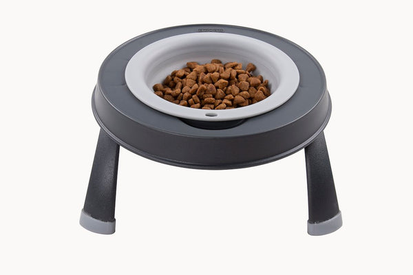 Dexas Pet Dish (MPN: PW130432429)