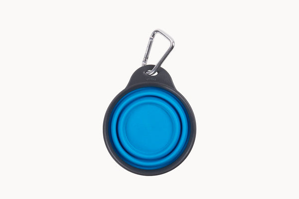 Dexas Collapsible Travel Cup (MPN: PW2004322194)