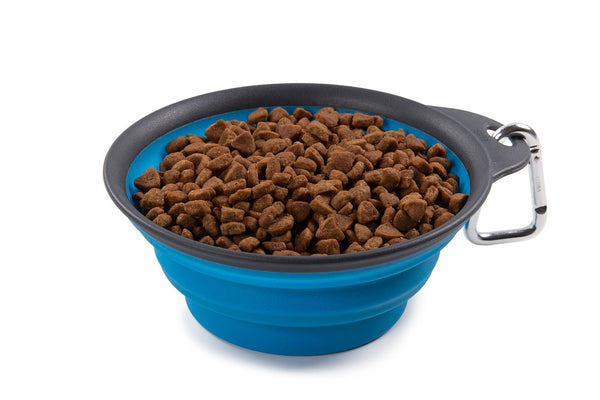 Dexas Collapsible Travel Cup (MPN: PW2004322194)