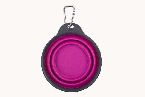 Dexas Collapsible Travel Cup (MPN: PW2004322405)