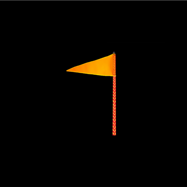 Quake LED Flagpole With RGB Whip Lights (MPN: QW825)