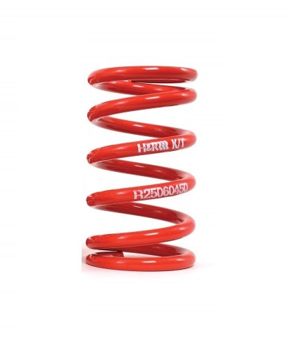 H&R Race Spring (MPN: R25100100)