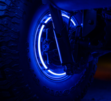 Race Sport Lighting Underbody Light Kit (MPN: RSCWL10)
