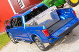 Dee Zee 6 Inch Oval Nerf Bar (MPN: DZ16401)