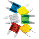 Performance Tool Mini Blade Fuse Assortment (MPN: W5369)