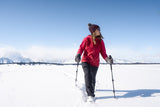 Airhead Elite Walking Poles (MPN: 83-0149)
