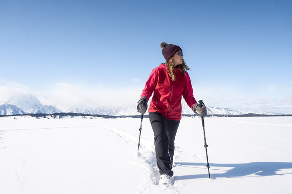 Airhead Elite Walking Poles (MPN: 83-0149)