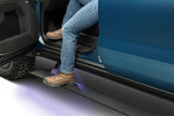AMP Research PowerStep Running Board (MPN: 76255-01A)