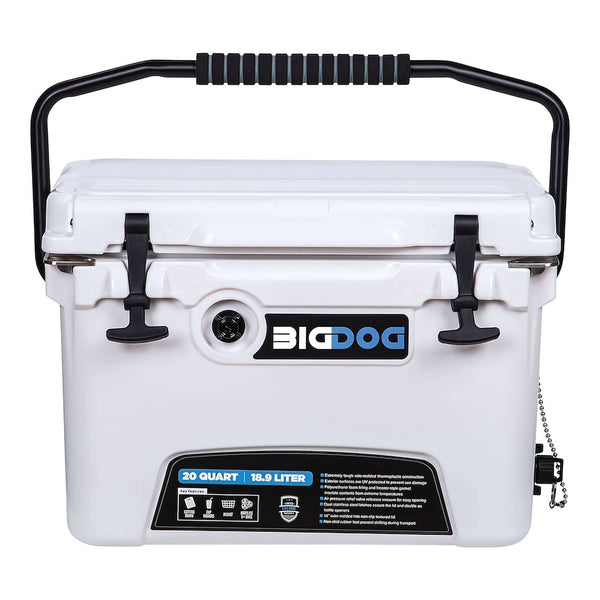 BDC20