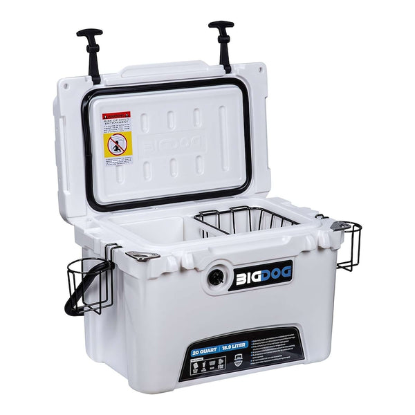 BDC20