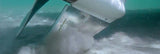 Megaware SkegGuard Outboard Motor Skeg Protector (MPN: 27081)